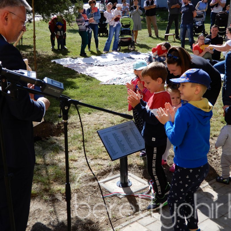 Életfa ültetés a város napján 28